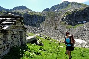 All’Angelo di CIMA CADELLE (2483 m) dalla Baita del Camoscio (1750 m) il 23 giugno 2018 - FOTOGALLERY